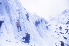 nz-1965-66_0005-69b08fe0603f4ceb80f6fb4d835e982f677a9da0
